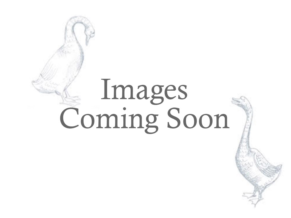 The Potting Shed The Potting Shed